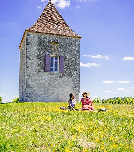 Pigeonnier_Saint_Astier_Lot&amp;Garonne_LesConteurs_BMS-09