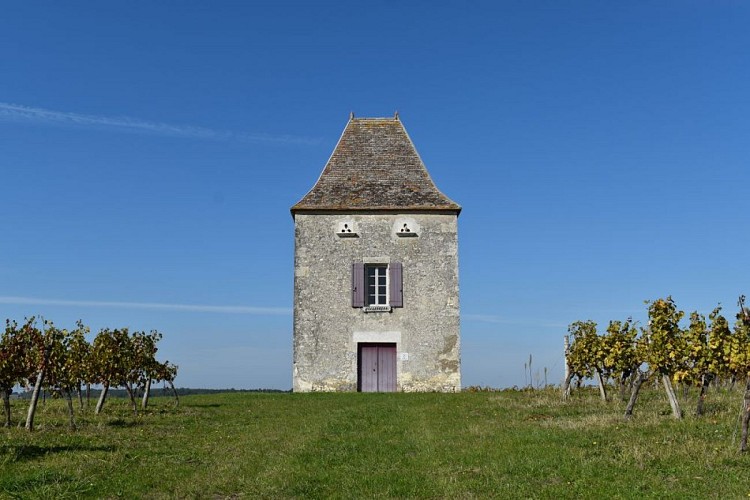 Pigeonnier Saint Astier 2