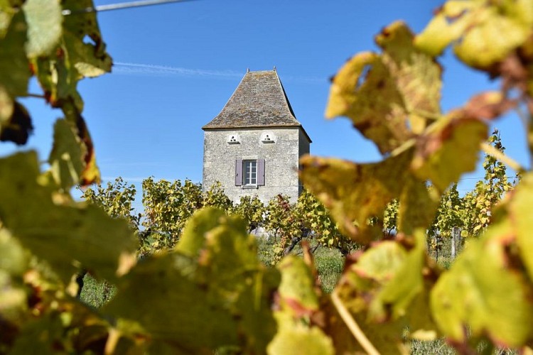 Pigeonnier Saint Astier 3