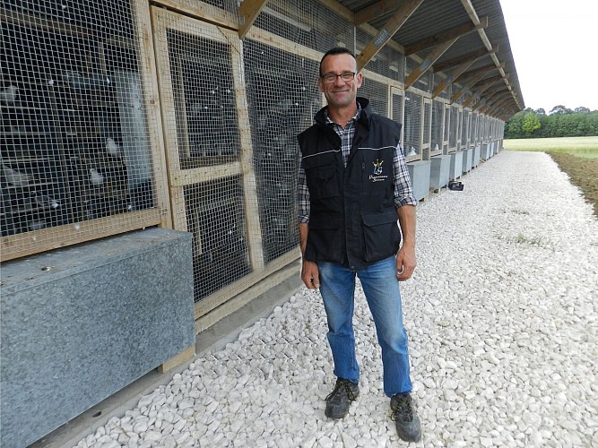 Les pigeonneaux du Gâtinais