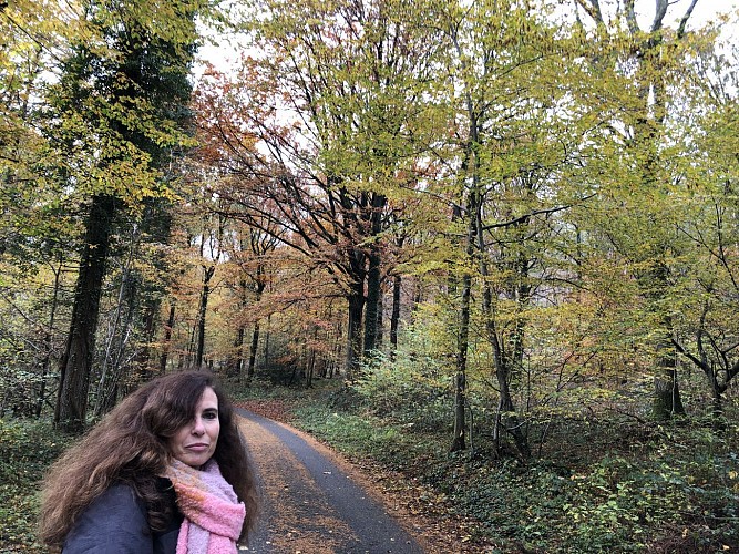 Entrée dans le bois de Sorinne