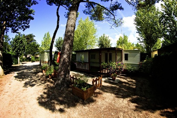 Camping Le Marais Neuf