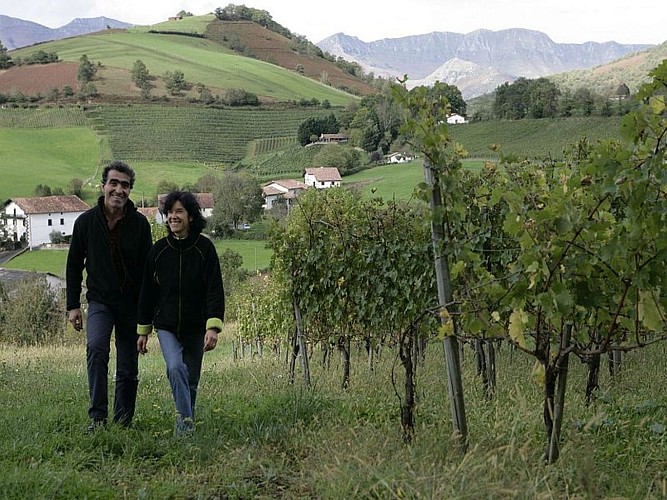 Domaine Arretxea - Famille Riouspeyrous