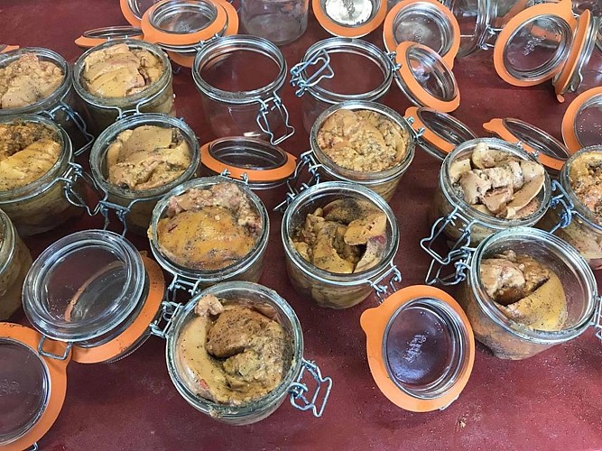 Serres castet ferme palangue crédit Palangue (15)