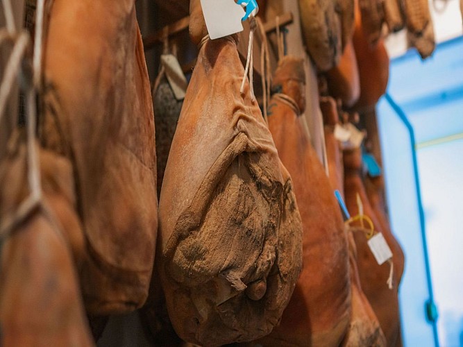 Garlin Ferme Porc &amp; Pink crédit Minja janv 2023 (8)