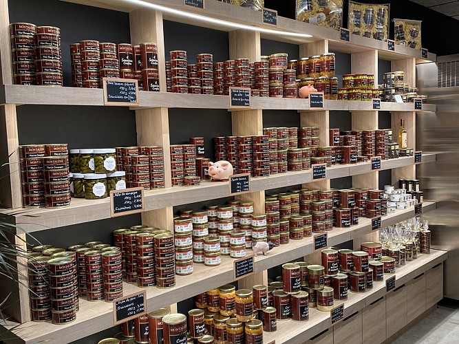 Maison Montauzer Bardos (7)