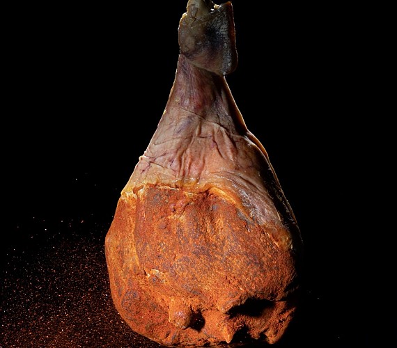 Maison Montauzer Bardos (1)