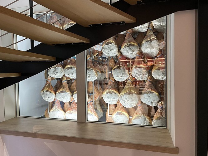 Maison Montauzer Bardos (2)