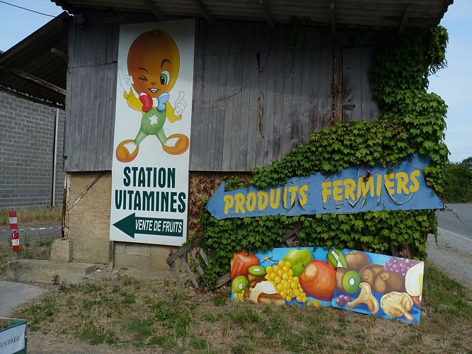 Fruits de la Targa - Vaubios - cph SMT NB