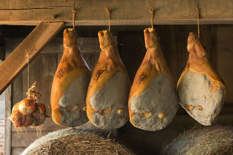 Jambons suspendus Maurice Rougemont