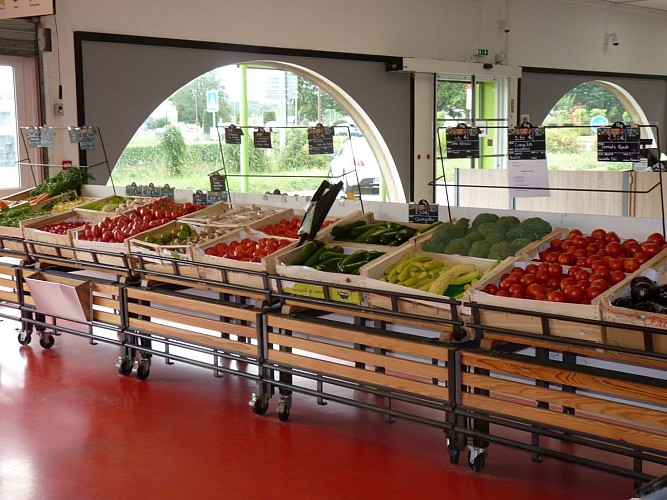 Ferm'envie légumes Serres-Castet - cph tourisme Nord Béarn Madiran