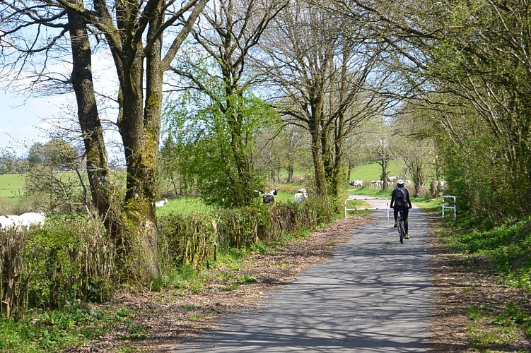 RAVEL - Petit Thier - Vélo (3)