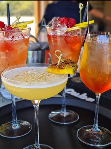 Restaurant U Paviddonu