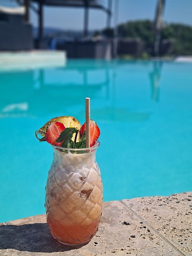 Restaurant U Paviddonu