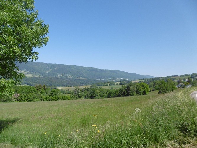 Point de vue - Menthonnex-en-Bornes