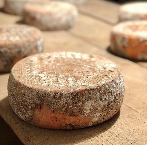 Magasin de Producteurs U Core Paesanu