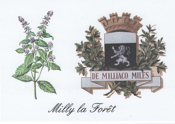 Milly la Forêt
