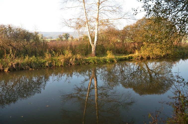 Au fil de l'Essonne autour de Boutigny