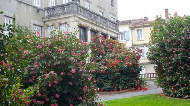 Jardin des Camélias