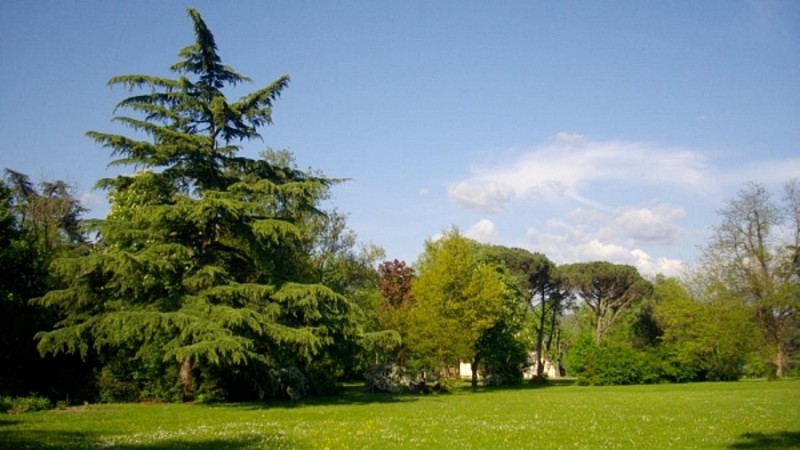 Parc de la Molière
