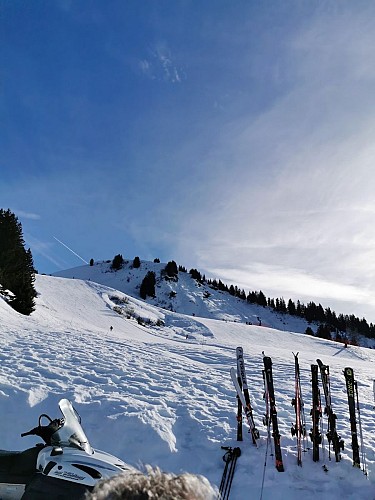 Le Wetzet