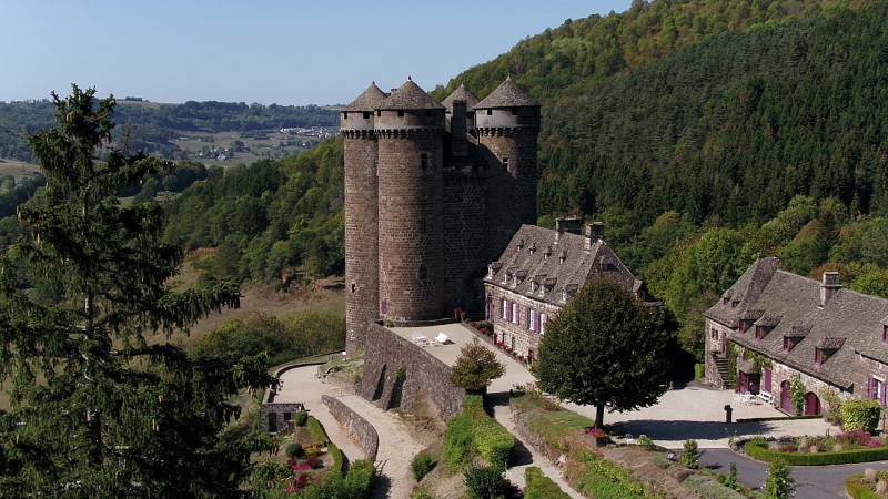 El castillo de Anjony