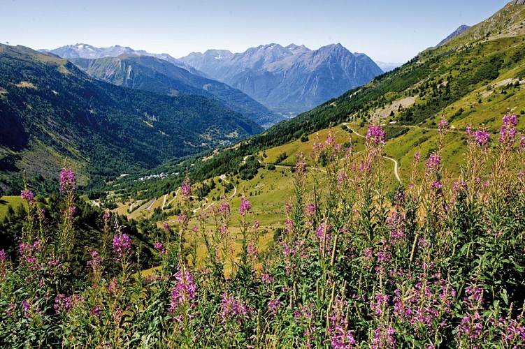Au col du Sabot (2100 m)