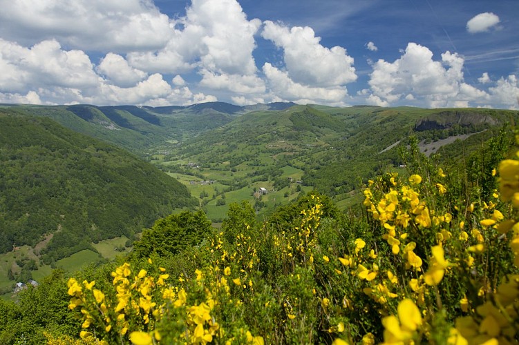 Buron de la Combe de la Saure