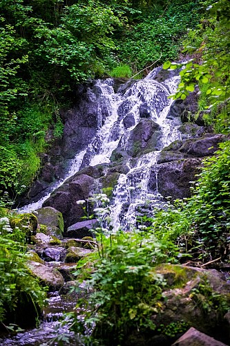 Ecureuil waterfall