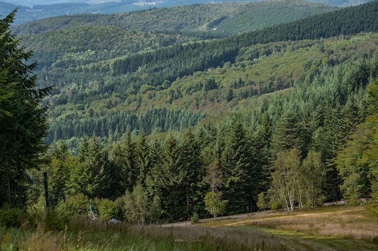 Plateau de la Loge-des-Gardes - Forêt domaniale de l'Assise