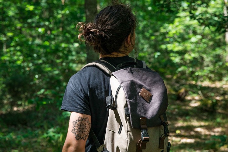 Forêt de Montpensier