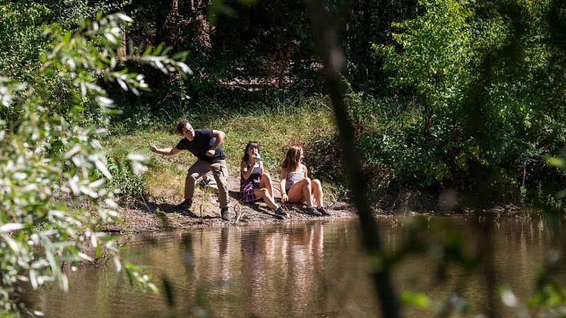 Forêt de Montpensier