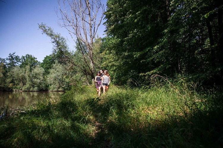 Forêt de Montpensier