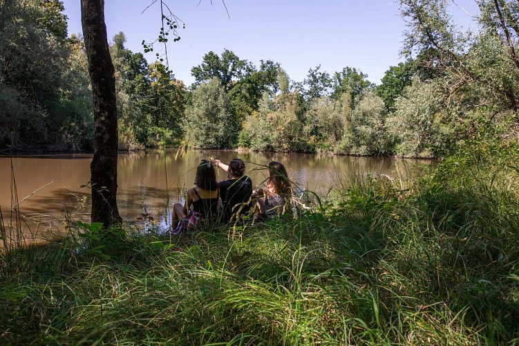 Forêt de Montpensier