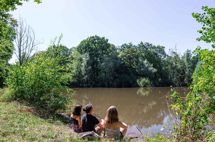Forêt de Montpensier