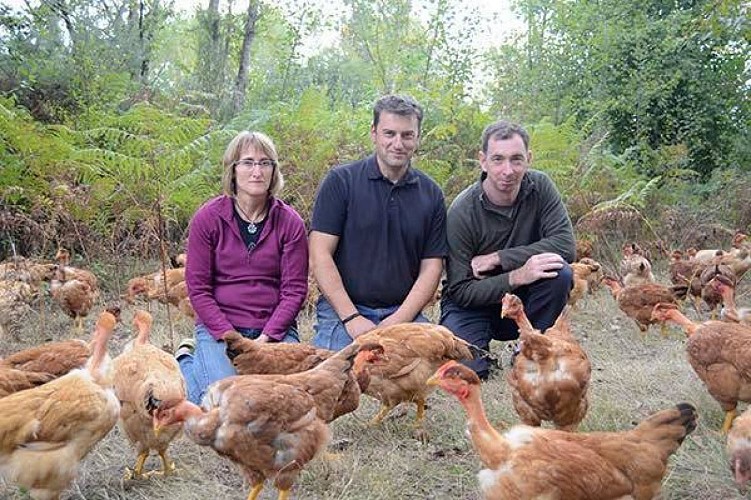 49312039_1005051873020077_4378870555869184000_n