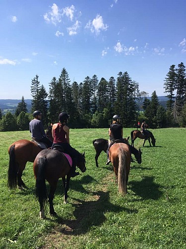 Les écuries du bois ailé