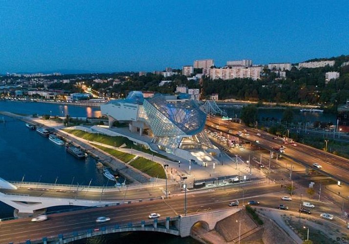 Billet coupe-file Musée des Confluences