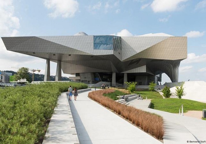 Billet coupe-file Musée des Confluences