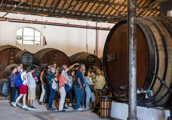 Découverte de Porto en petit train & Visite guidée de la cave à vin Real Companhia Velha - En français