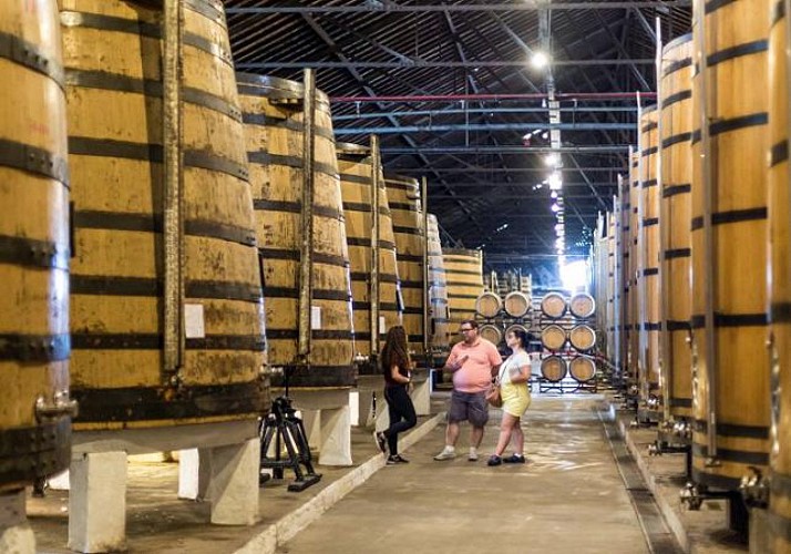 Découverte de Porto en petit train & Visite guidée de la cave à vin Real Companhia Velha - En français