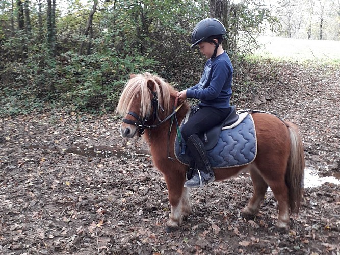 Les Ecuries de la Millassole