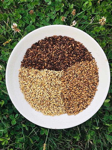 Brasserie La Dobla à Servanches