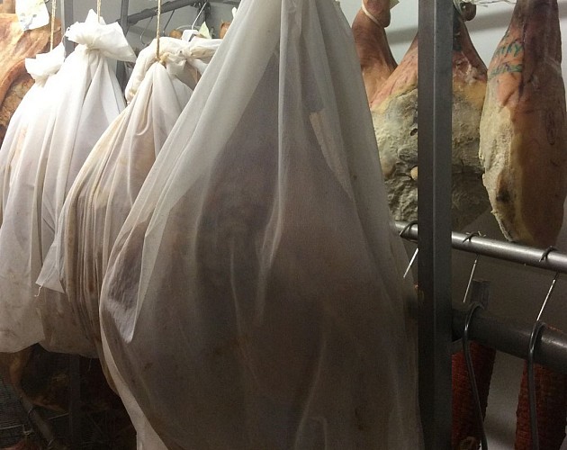 Jean-Michel Ihidoy (5)