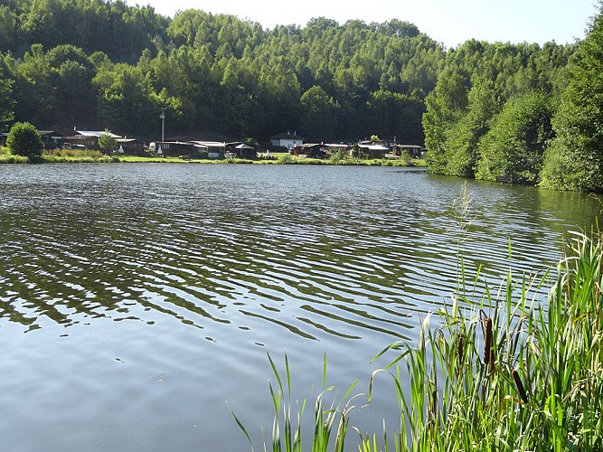 Der Fischteich von Mouterhouse