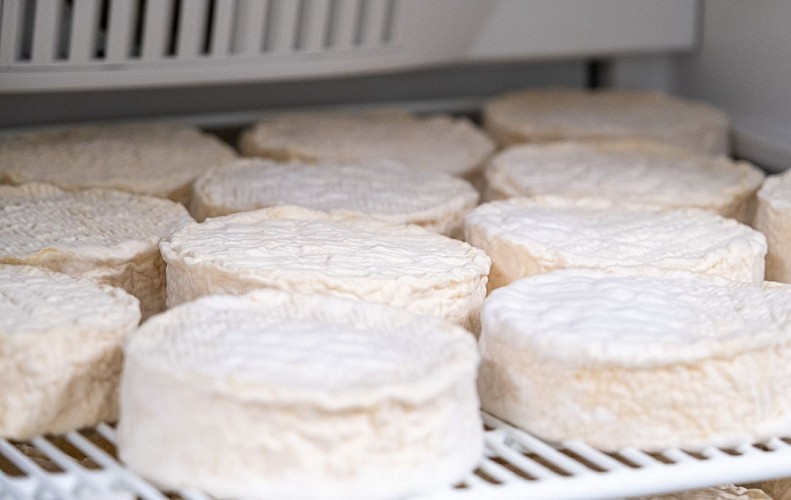 ferme de beausoleil-0886