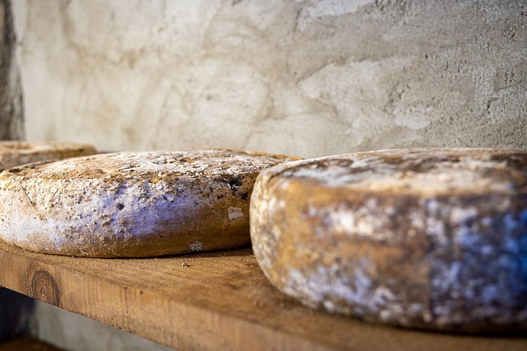 ferme de beausoleil-0891