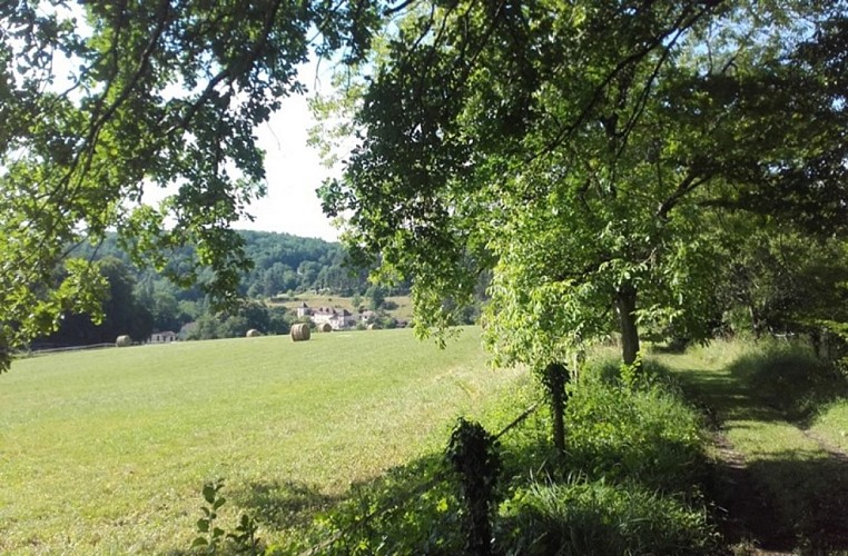 Prairie-avec-vue2-2 (1)