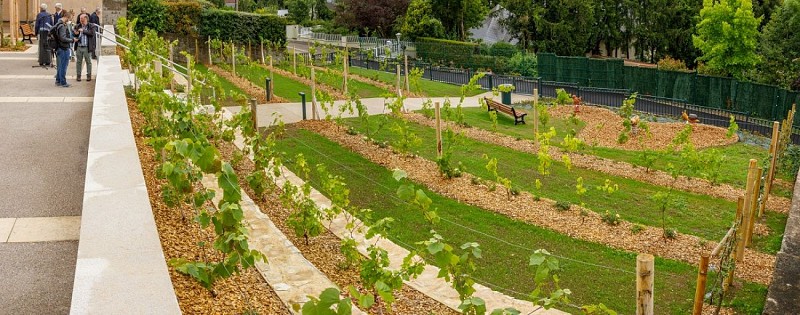 Der Aussichtspunkt Crève-coeur