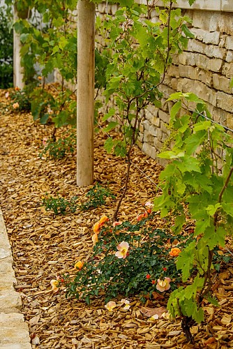 Le belvédère du crève-coeur